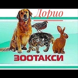 Telegram profile photo for Зоотакси Краснодар, край, по России
