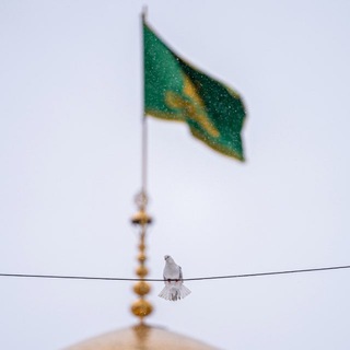 Telegram profile photo for مجله آیینی سِرّ دلبران