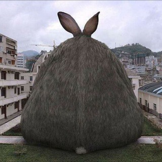 Telegram profile photo for Зая нимолчи