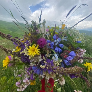 Telegram profile photo for 🌿Природа Дагестана 🌿