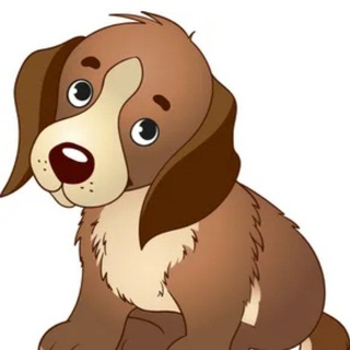 Telegram group profile photo for Потеряшки Раменского г.о.