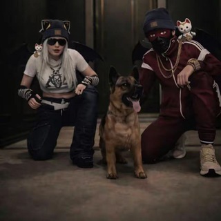 Telegram profile photo for bulldozer