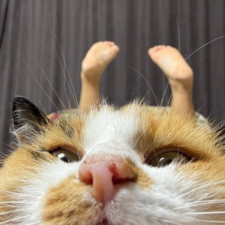 Telegram profile photo for Жизнь казахстёнка✨