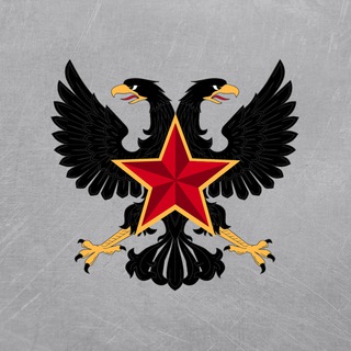 Telegram profile photo for Новая Россия