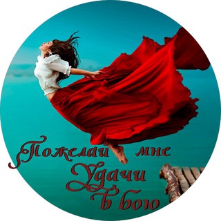 Telegram profile photo for Дворецкие AirTEAM