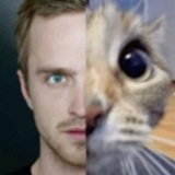 Telegram profile photo for Memes Brasil