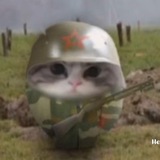 Telegram profile photo for πΏππΎπΎπ΅