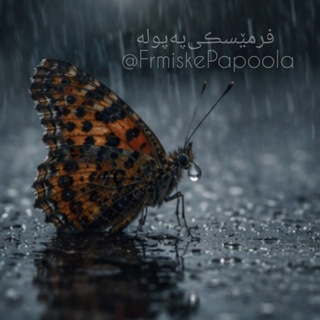Telegram profile photo for فرمێسڪیپەپولە🦋