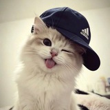 Telegram profile photo for ๐จ๐๐๐๐๐๐.