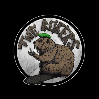 Telegram profile photo for THE BOBERS