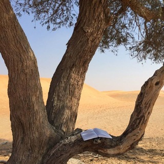 Telegram profile photo for Книгохранилище переходник
