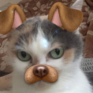 Telegram profile photo for мде))