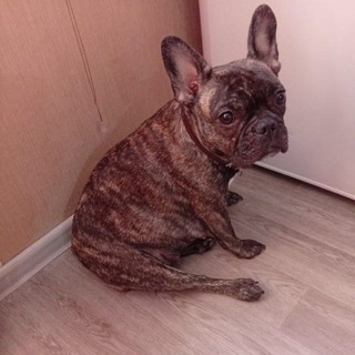 Telegram profile photo for Нарезки ютуб смешные