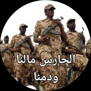 Telegram profile photo for اخبار الجيش 24 ساعة ⌚