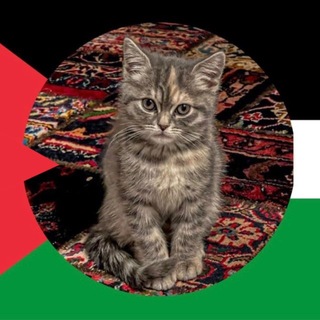 Telegram profile photo for هُوَ عَلَيَّ هَيِّنٌ .