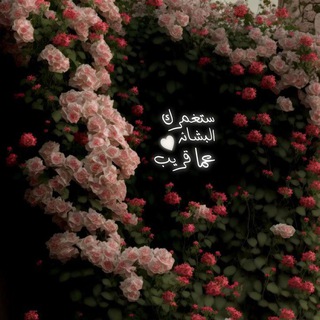Telegram profile photo for .ꨄطالبه للجـنان
