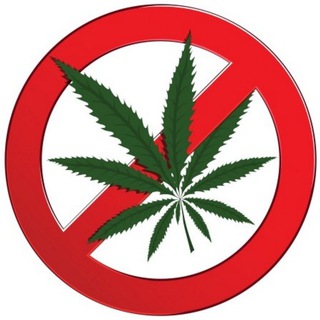 Telegram profile photo for کمپین نه گفتن به مصرف کانابیس
