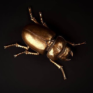 Telegram profile photo for golden beetle