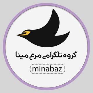 Telegram group profile photo for گروه تلگرامی مرغ مینا
