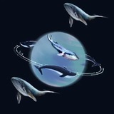 Telegram profile photo for πππ ππππππππ ππππ