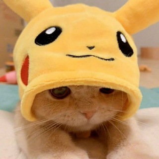 Telegram profile photo for Pika广播电台 | 上班中