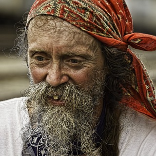 Telegram profile photo for Working EA
