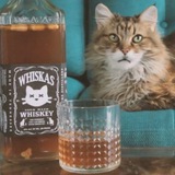 Telegram profile photo for WHISKAS WHISKEY