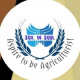 Telegram profile photo for Soil_in_Soul