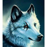 Telegram profile photo for غزوان