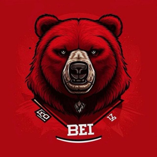 Telegram profile photo for ДХК «Медведи»🏒 (ЗАКРЫТО)