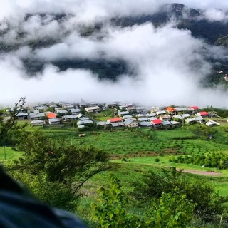 Telegram profile photo for کانال بَرَمڪوه