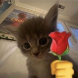 Telegram profile photo for самый крутой детский сад