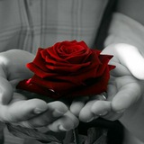 Telegram profile photo for ❤️عاشقانه مذهبی❤️