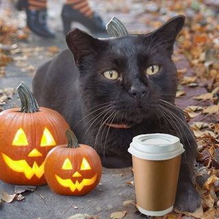 Telegram profile photo for Freaky👻 Каламбурник. Фанати Негріна (^._.^)/