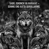 Telegram profile photo for 🐺𝝣꯭𝆄꯭꯭𝐘𝗼꯭꯭𝐋꯭𝐆꯭𝗶𝐙꯭ 𝐁꯭𝗼꯭'𝗥꯭꯭𝐢⚜꯭꯭꯭𝝣🐺