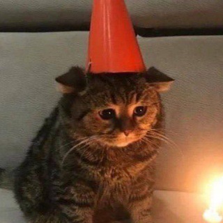 Telegram profile photo for Мовний склад