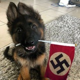Telegram profile photo for HITLER_TEAM