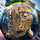 Telegram profile photo for شگفتی و زیباییهای خلقت
