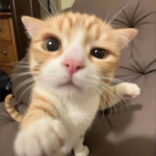 Telegram profile photo for Prestis