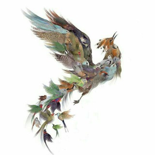 Telegram profile photo for یاریگر