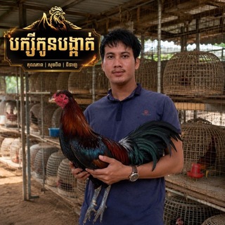Telegram profile photo for បក្សីកូបង្កាត់