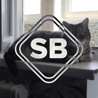 Telegram profile photo for π StasBel & ΠΠ°ΡΡΠΈΠΊ π