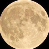Telegram profile photo for Тебе виднее