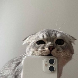 Telegram profile photo for something for u | цитаты