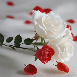 Telegram profile photo for ❤️زندگی زیباست❤️