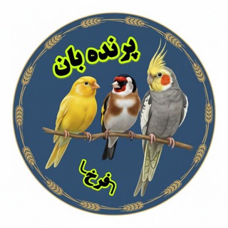 Telegram profile photo for پرنده بان