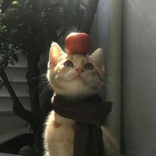 Telegram profile photo for Тихая гавань