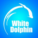 Telegram profile photo for باشگاه ورزشی دلفین سفید