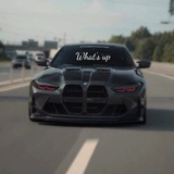 Telegram profile photo for Whats up!