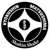 Telegram profile photo for کیوکوشین کاراته شاهین شهر